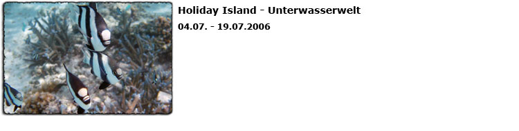 Holiday Island Unterwasserwelt